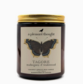 Hand-Poured Coconut Apricot Wax Candle