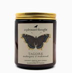 Hand-Poured Coconut Apricot Wax Candle
