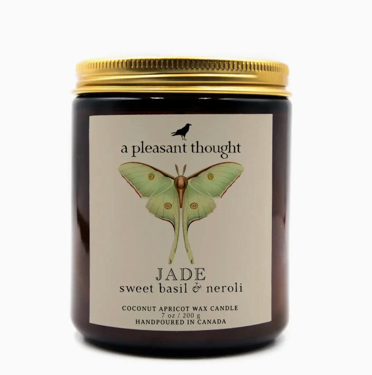 Hand-Poured Coconut Apricot Wax Candle