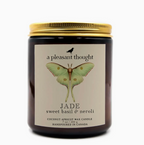 Hand-Poured Coconut Apricot Wax Candle