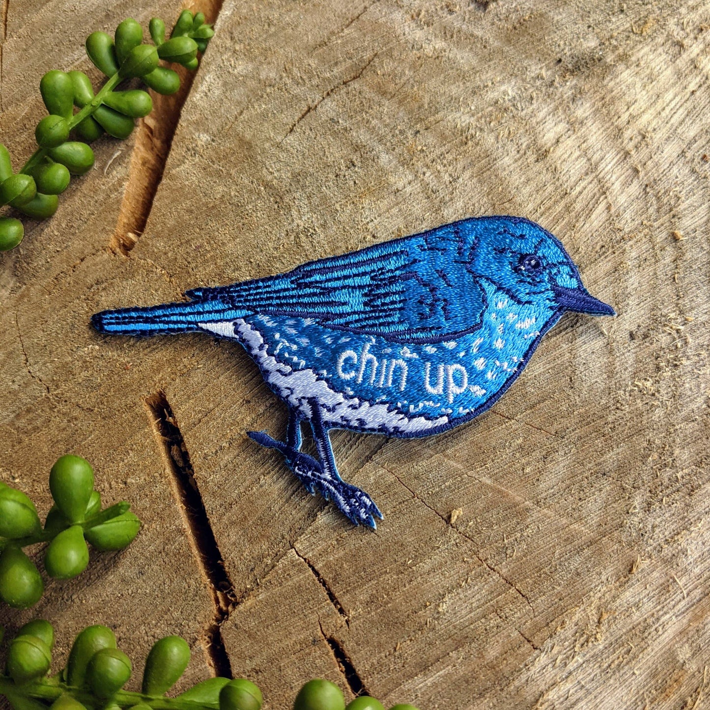 Chin Up Bluebird Patch