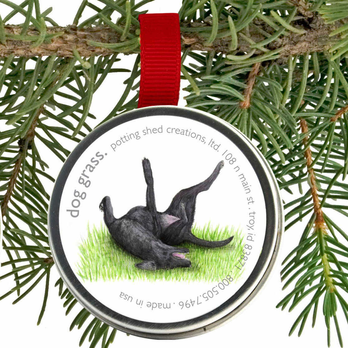 Pet Grass Ornaments | Catnip, Dog Grass & Cat Grass