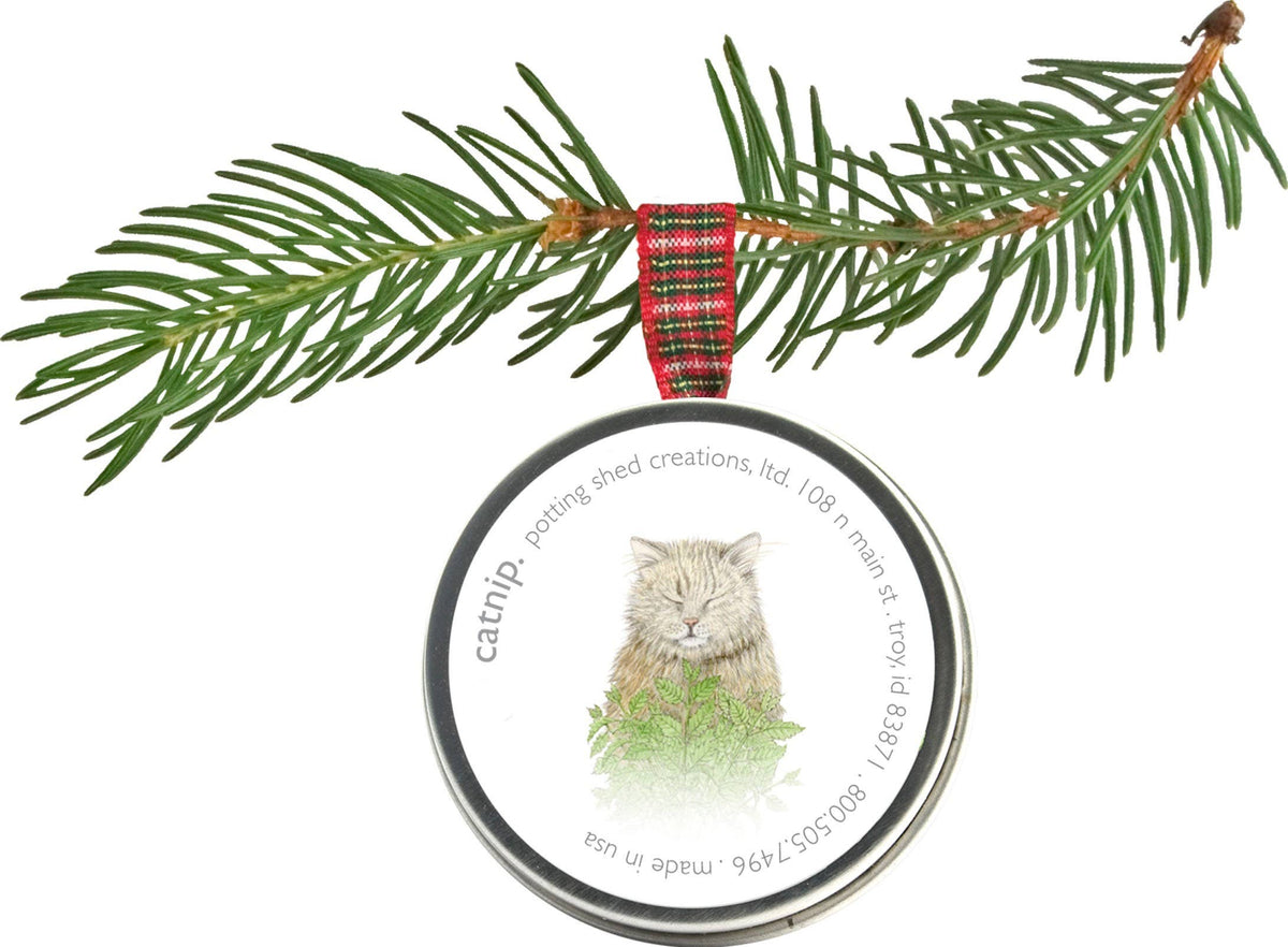 Pet Grass Ornaments | Catnip, Dog Grass & Cat Grass