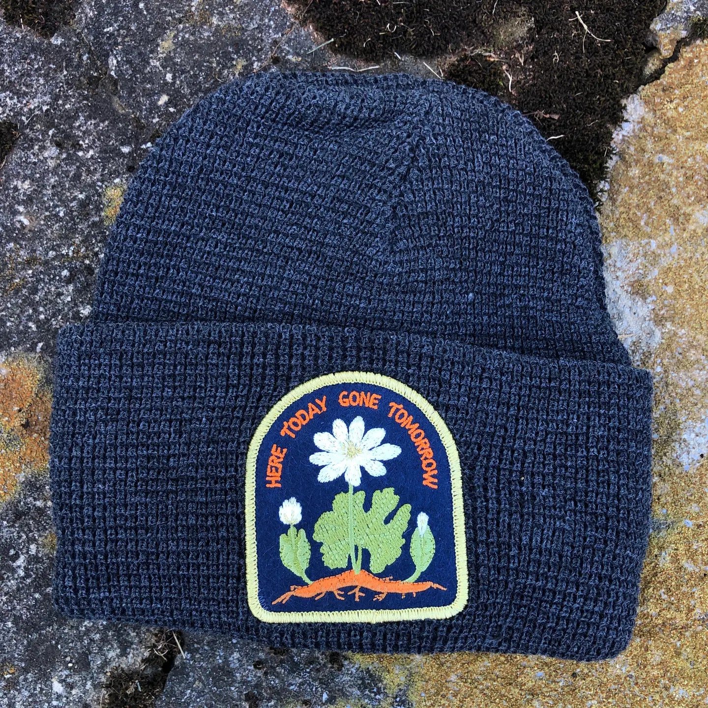 Arkansas Native Plant Beanie Hat