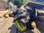 Natural Rubber Acorn Toy