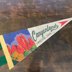 National Park Pennant - Large
