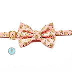 Handmade Kitty Collars