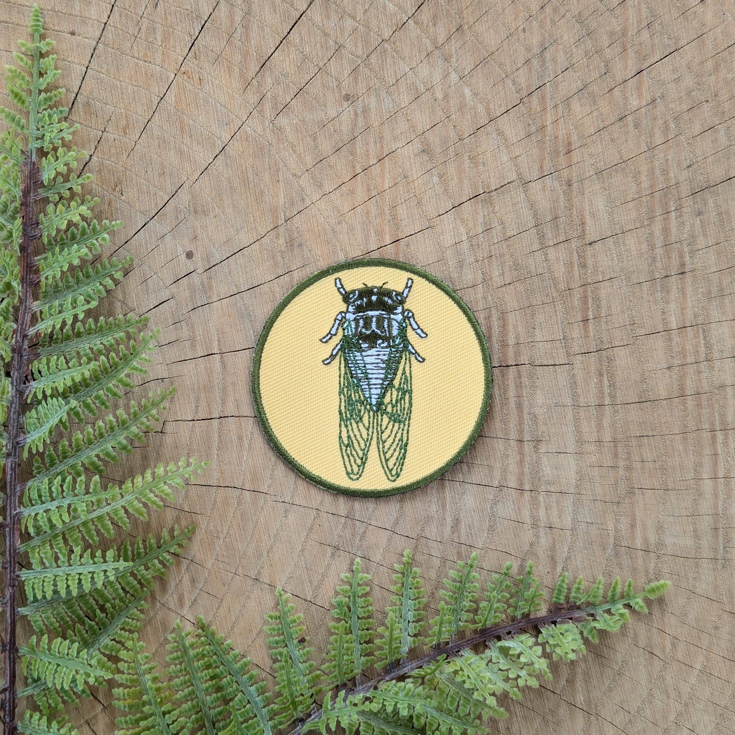 Cicada Patch