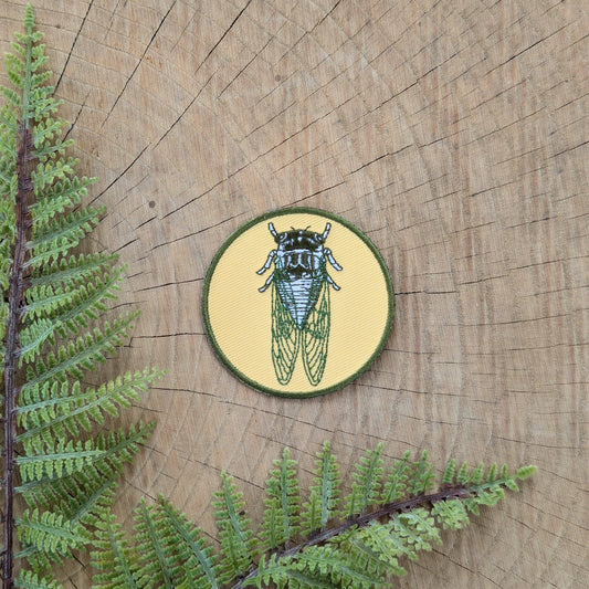 Cicada Patch