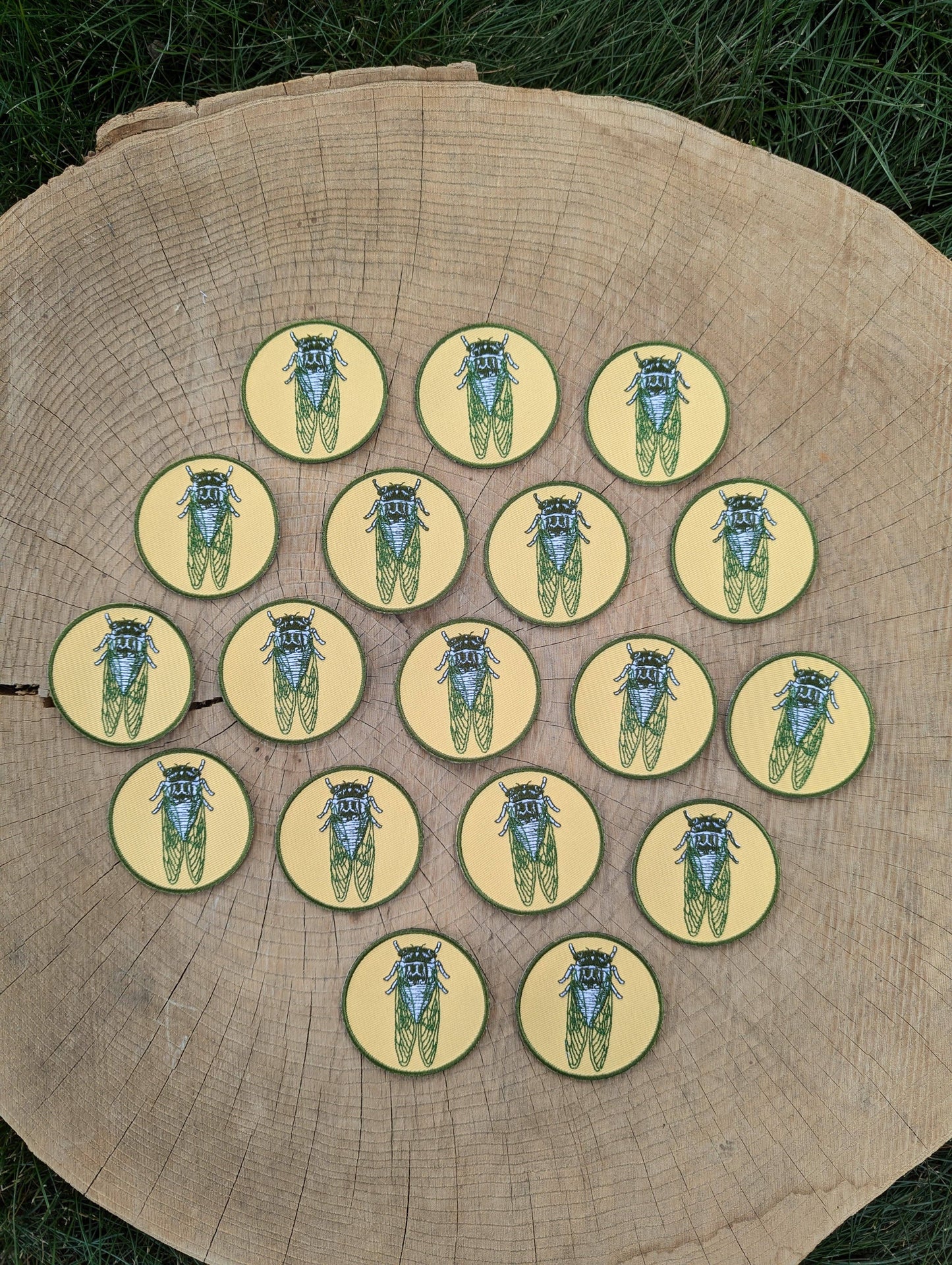 Cicada Patch