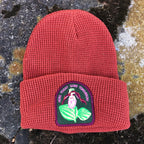 Arkansas Native Plant Beanie Hat