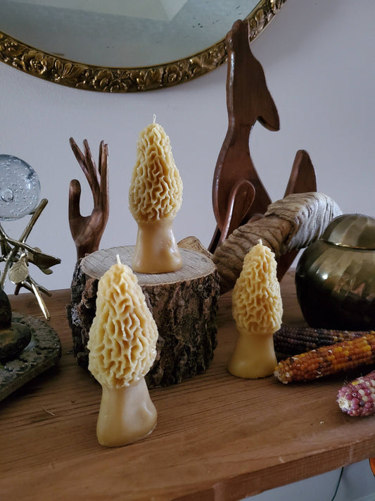 Large Morel Mushroom Beeswax Candle